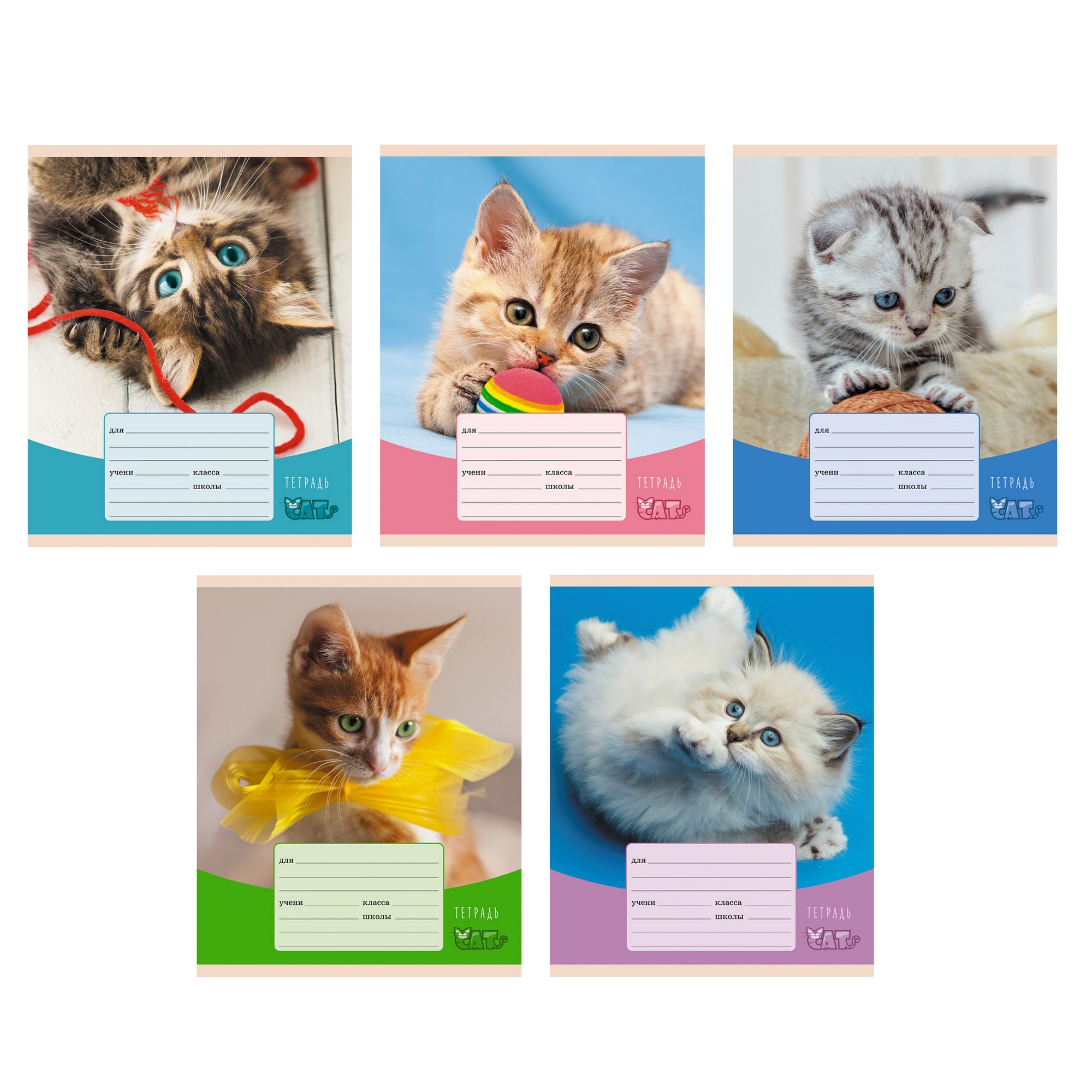 Тетрадь А5 12л клетка LISTOFF Игривые котята ассорти, арт. ТК127016