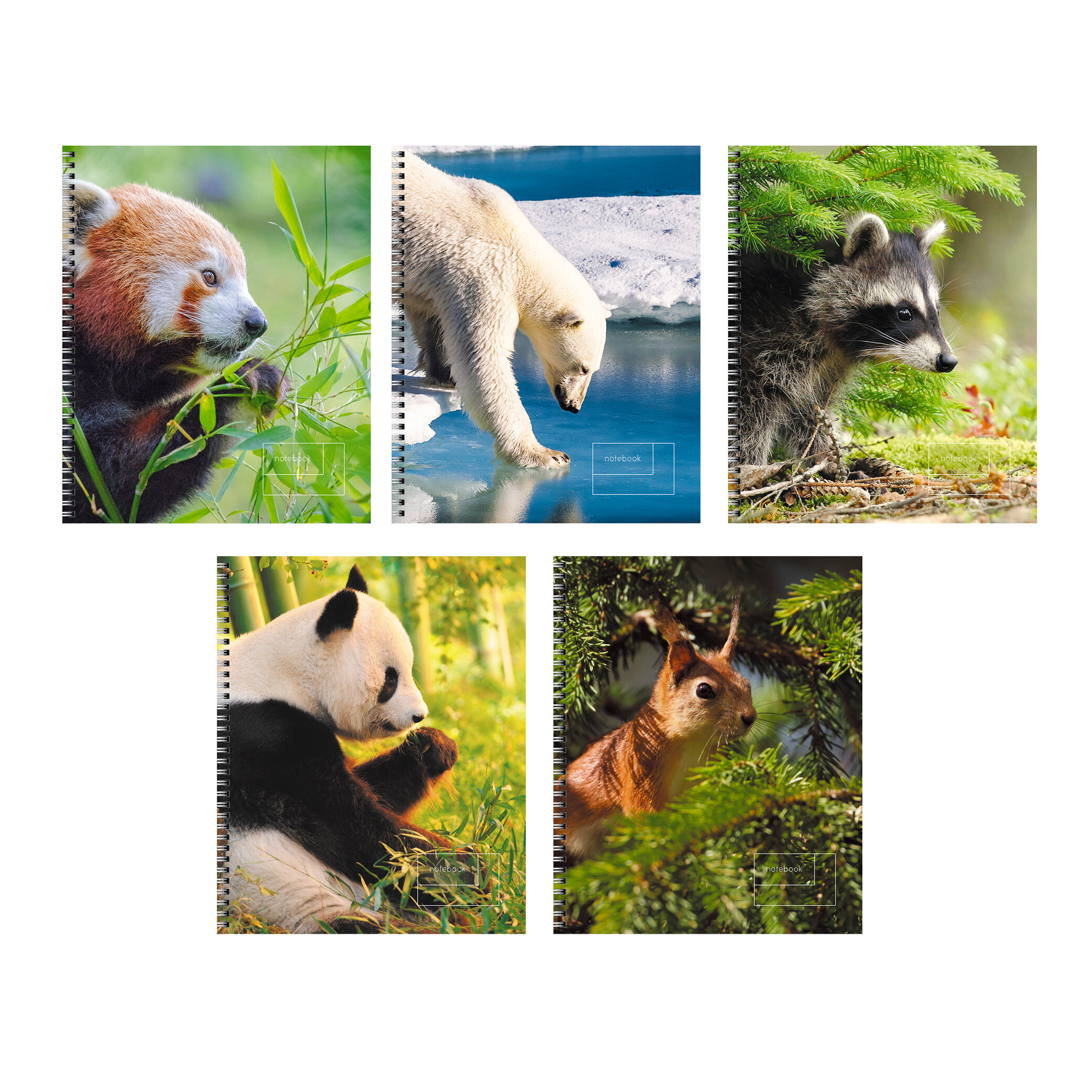 Тетрадь А5 80л линия спираль LISTOFF Дикие животные, арт. ТСЛ808563