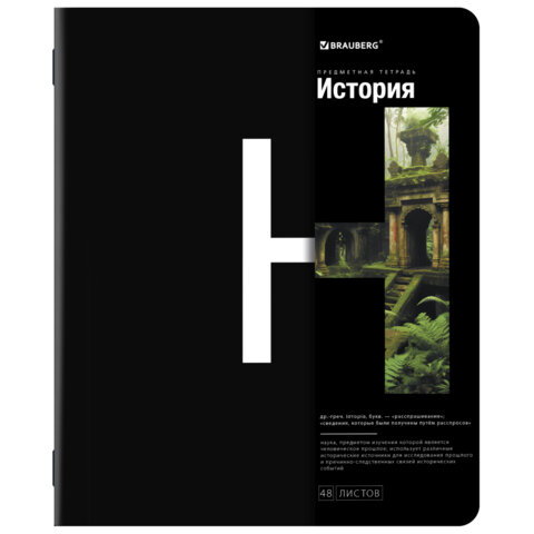 Тетрадь предметная История 48л клетка BRAUBERG Intelligence, арт. 404845