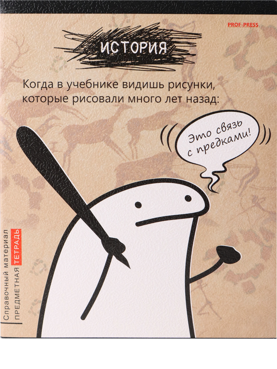 Тетрадь предметная История 48листов клетка ПРОФ-ПРЕСС Школьные мемасики, арт. 48-9653