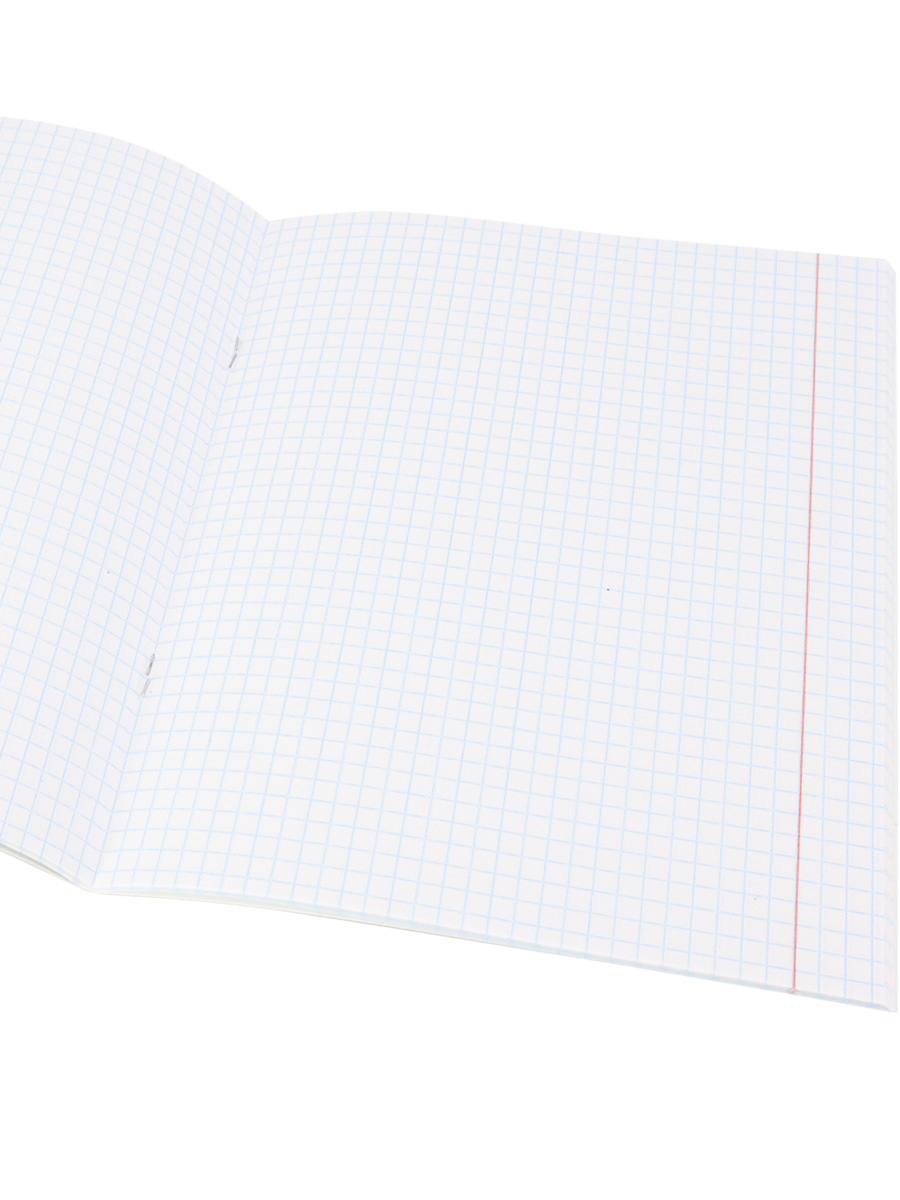 Тетрадь предметная Обществознание 48листов клетка ПРОФ-ПРЕСС Школьные мемасики , арт. 48-9657