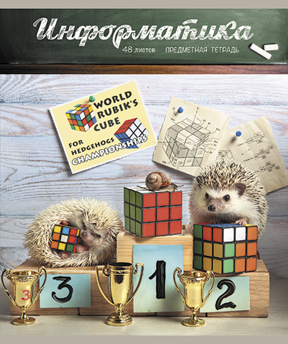 Тетрадь предметная Информатика 48л клетка ПЗБМ Тайная жизнь ежей, арт. 028894