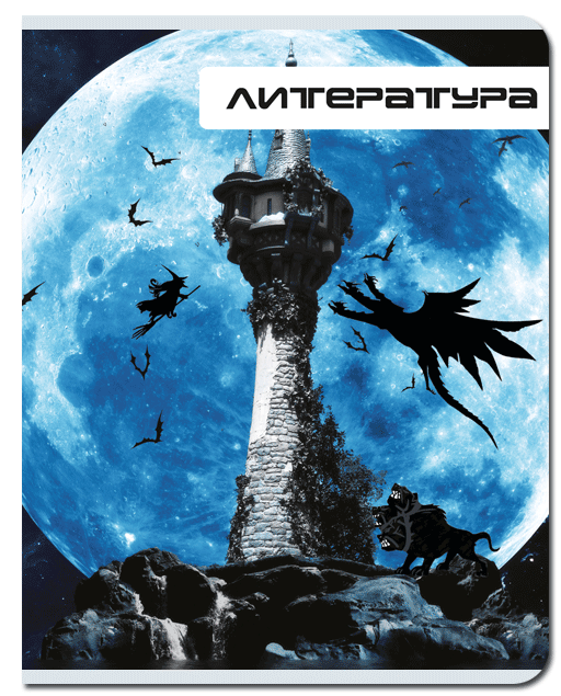 Тетрадь предметная Литература 48л линия FINE BOOKS Футуризм, арт. FB285