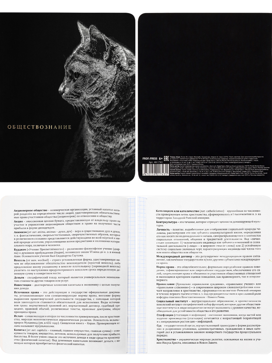 Тетрадь предметная комплект 12шт 48л ПРОФ-ПРЕСС BLACKSOFT, арт. 48-1744