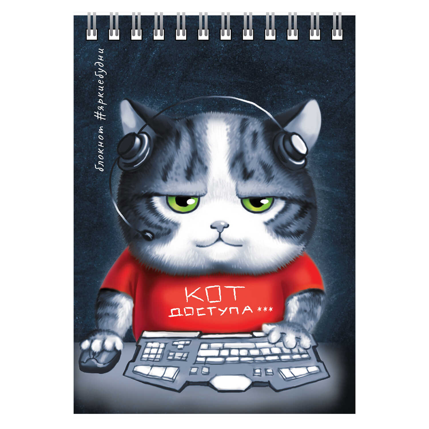 Блокнот А6 80л клетка спираль ФЕНИКС Аниме кот, арт. 64307