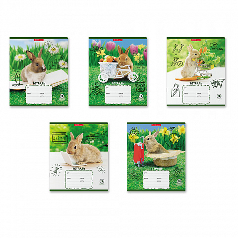 Тетрадь А5 12л линия ERICH KRAUSE Кролики ассорти, арт. 58246