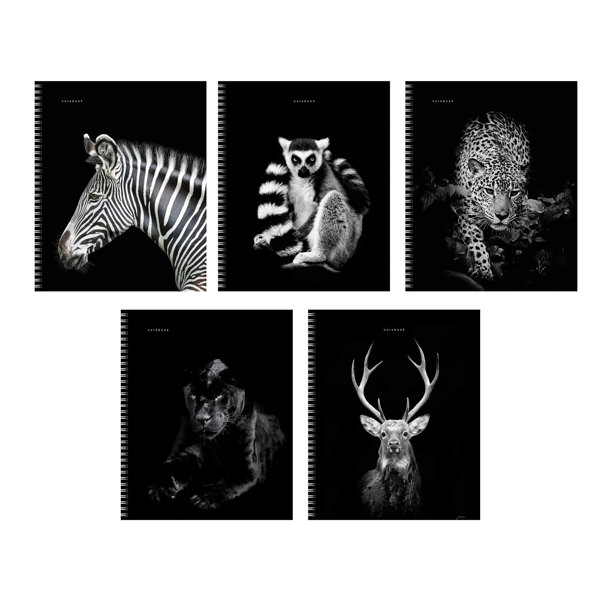 Тетрадь А5 96л клетка спираль LISTOFF Прекрасные создания ассорти, арт. ТСФ968547