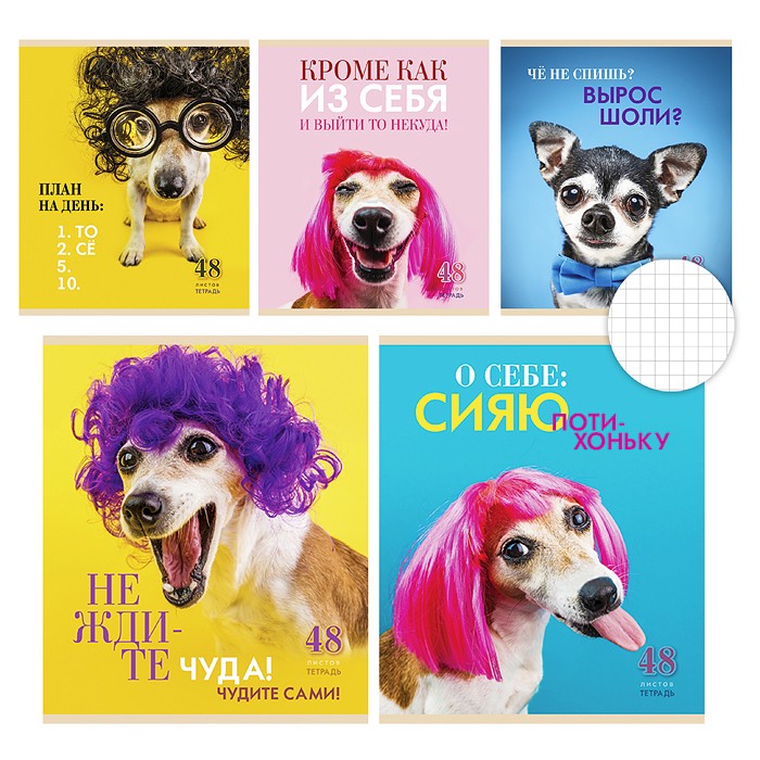 Тетрадь А5 48л клетка ПЗБМ То-се ассорти, арт. 028078