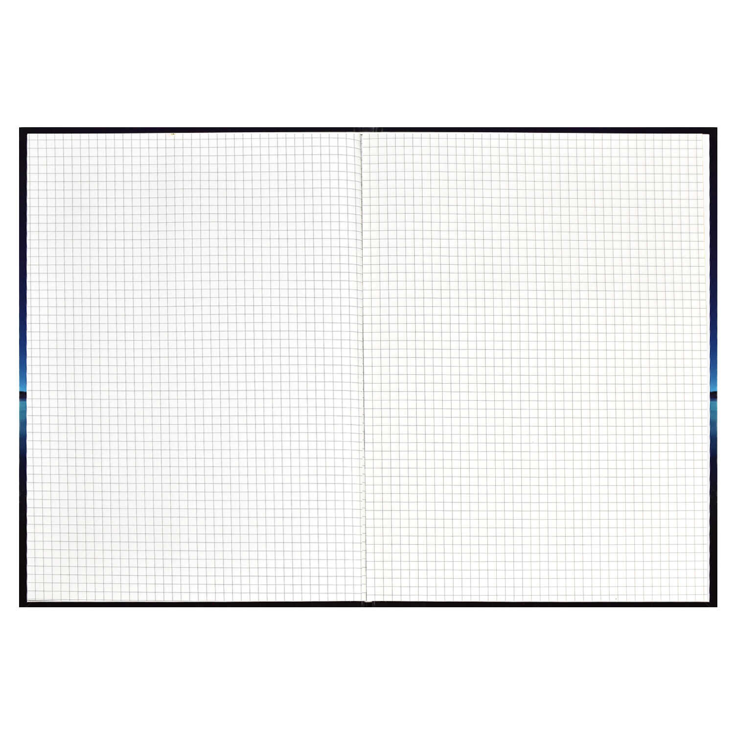 Тетрадь А4 96листов клетка ФЕНИКС Затмение твердая обложка, арт. 61692