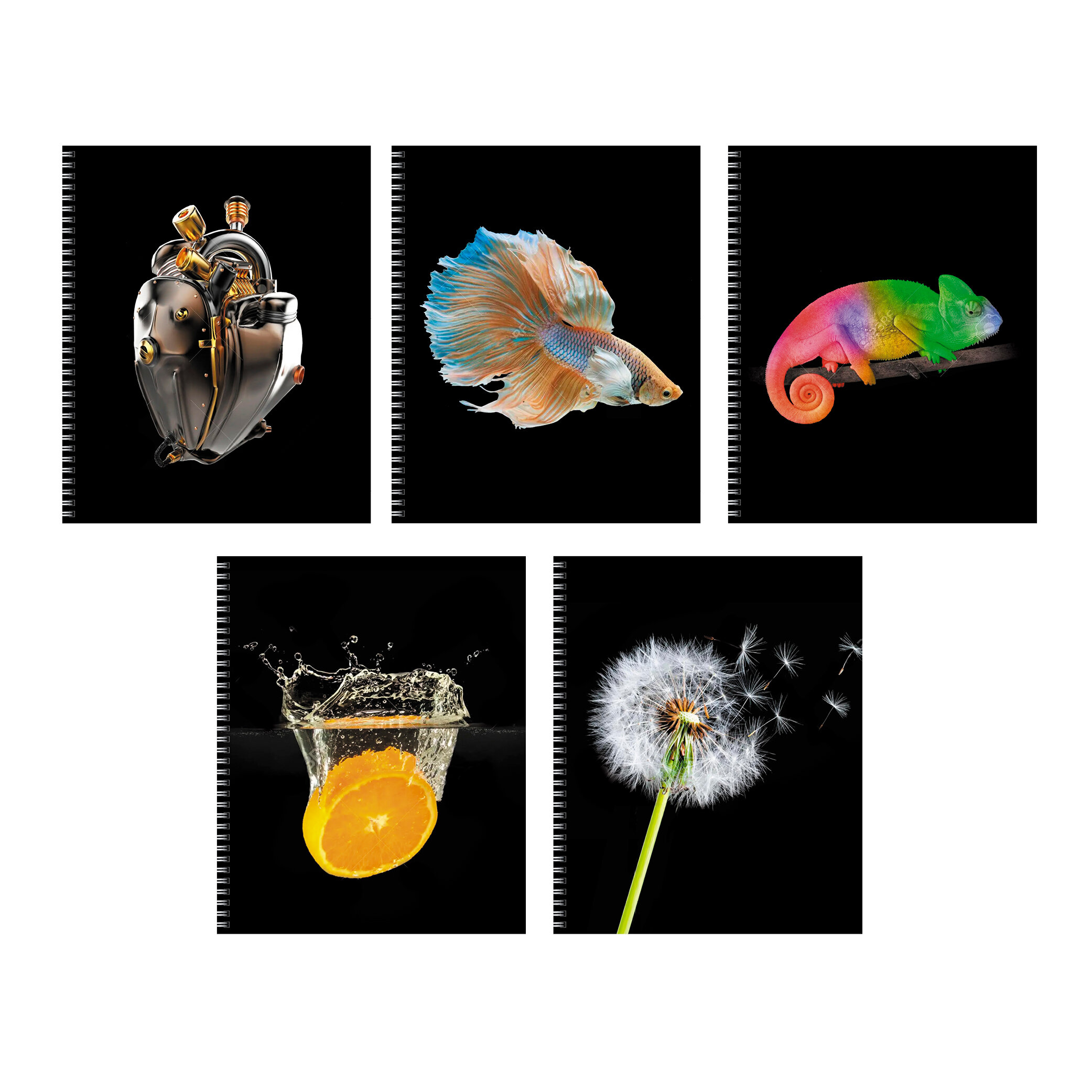 Тетрадь А5 96л клетка спираль LISTOFF На контрасте, арт. ТС968552