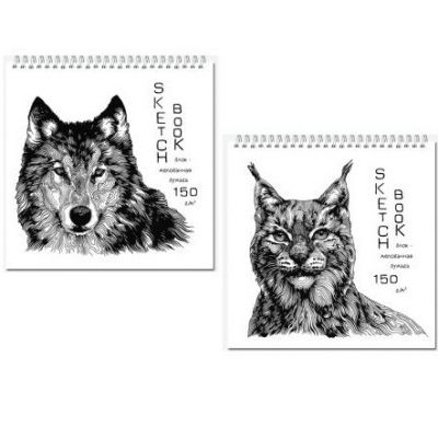 Блокнот/скетчбук 190*190 40л 150г/м2 спираль FINE LINE Quadro Big Silk, арт. 2834