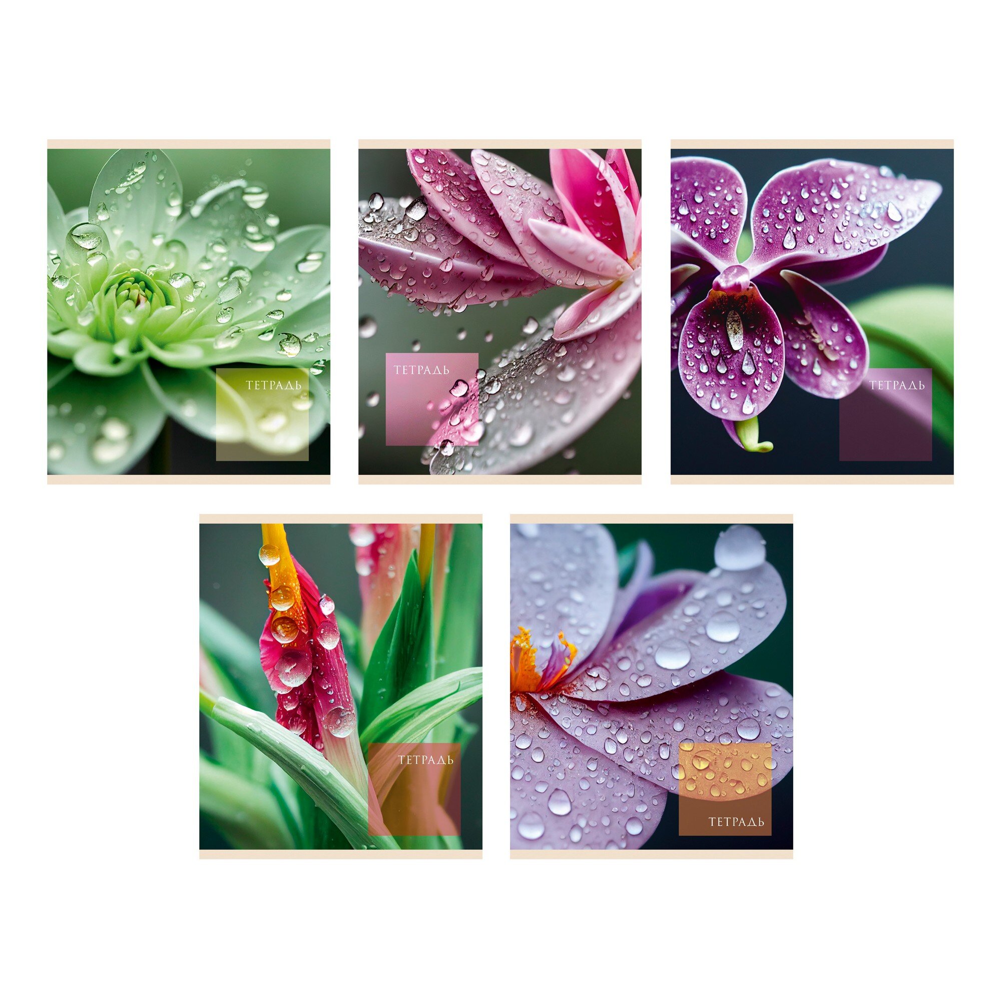 Тетрадь А5 48л клетка LISTOFF Чарующая природа, арт. ТК488665