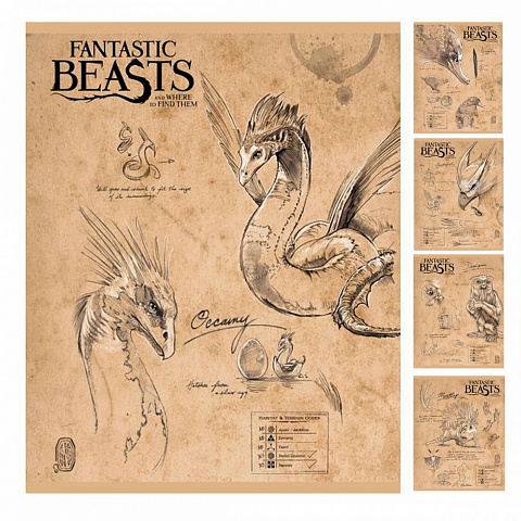 Тетрадь А5 48л клетка ХАТБЕР Фантастические твари ассорти, арт. 48Т5лВ1