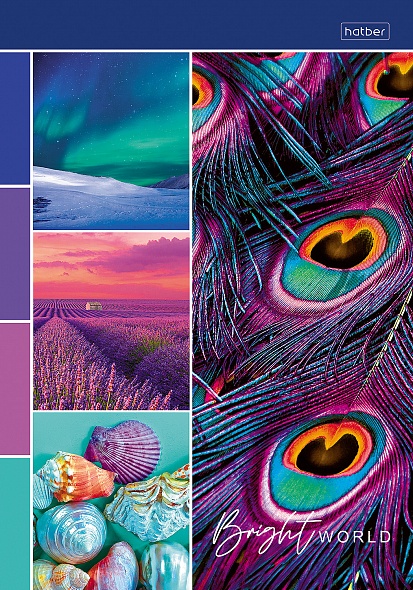 Блокнот А5 40л клетка склейка ХАТБЕР Premium Яркие краски жизни ассорти, арт. 40Б5лA1к_26218