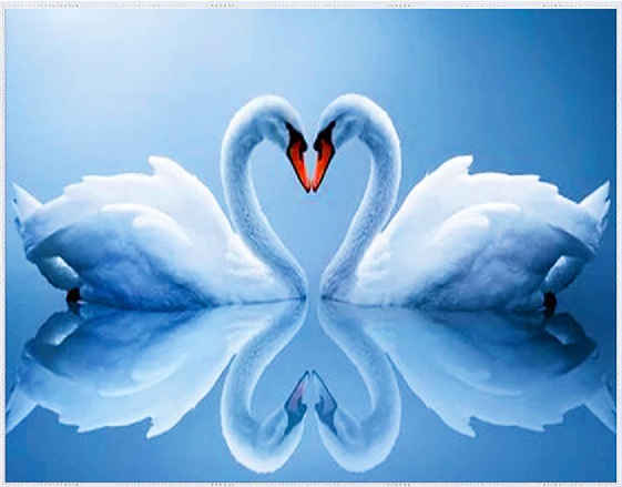 Набор для творчества Алмазная мозаика 40*50 без подрамника Лебеди NN, арт. HWSA5001