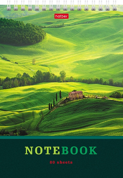 Блокнот А5 80л клетка спираль ХАТБЕР Зелёные долины, арт. 80Б5В1гр_29871
