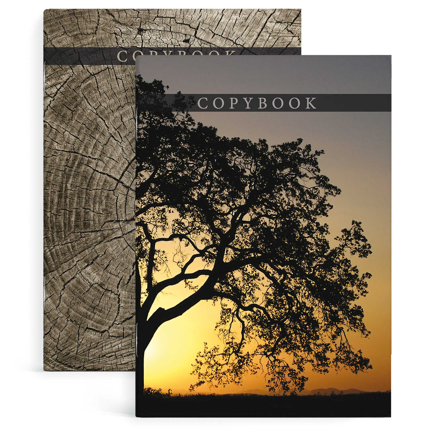 Тетрадь А4 80л клетка ФЕНИКС Перевертыш Дерево на закате, арт. 57401