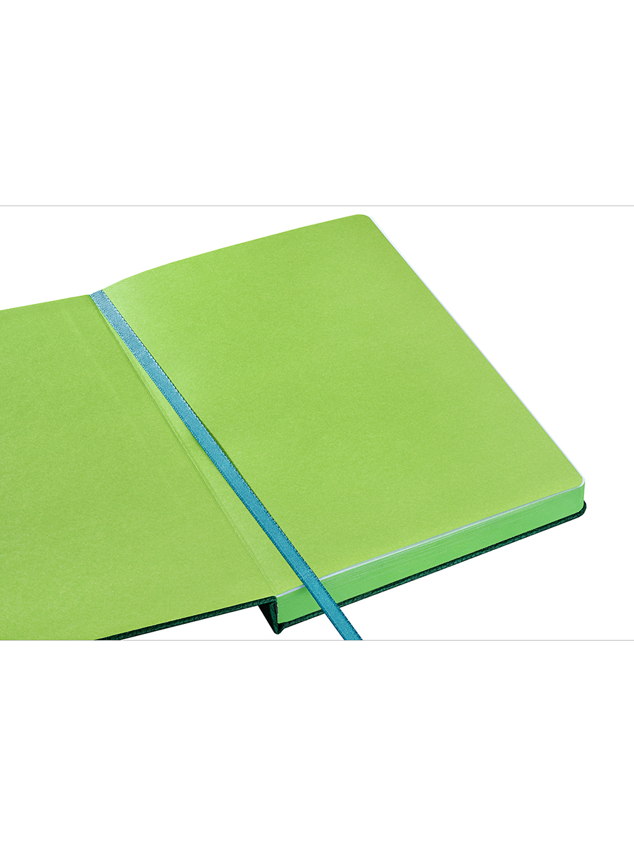 Ежедневник недатированный А5 ПОЛИНОМ Kiwi иск кожа зеленый срез светло-зеленый, арт. 3179