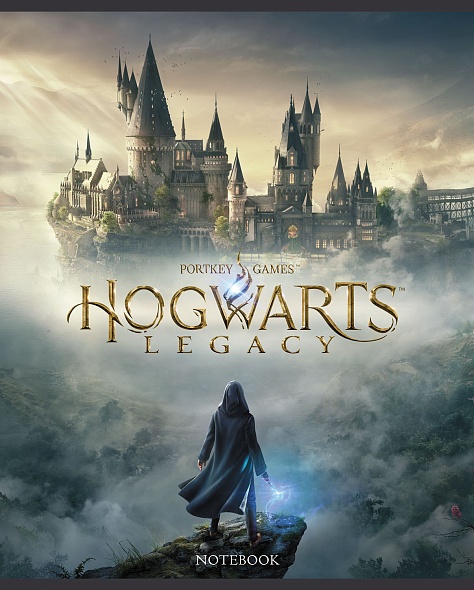 Тетрадь А5 48л клетка ХАТБЕР Hogwarts Legacy-Гарри Поттер ассорти, арт. 48Т5В1 