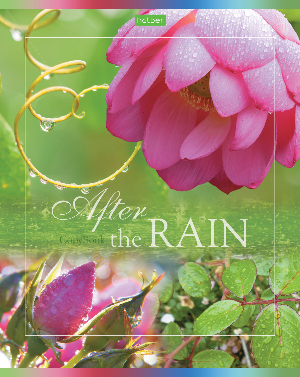 Тетрадь А5 80л клетка ХАТБЕР После дождя ассорти, арт. 80Т5C1