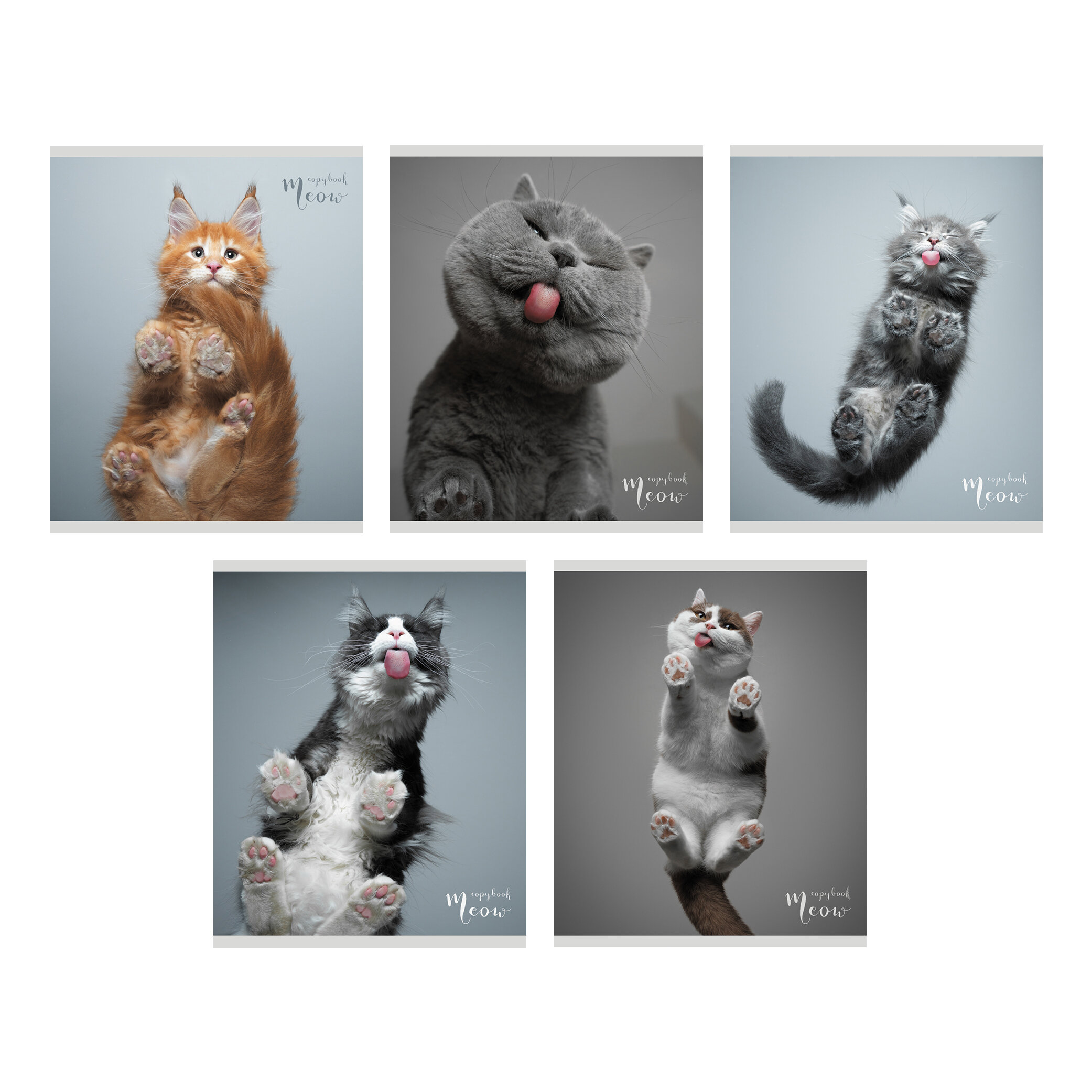 Тетрадь А5 96л клетка LISTOFF Пушистые лапки soft touch ассорти, арт. ТК967939